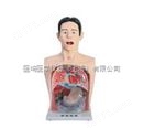 带警示透明洗胃模型YIM/A2